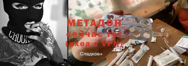 сатива Белокуриха