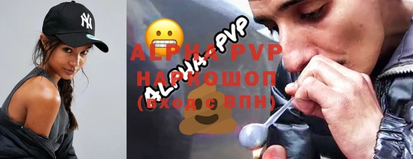 сатива Белокуриха