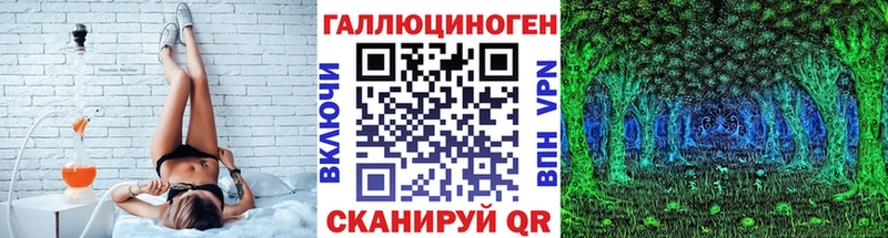 Псилоцибиновые грибы мицелий  Купить где  Нерчинск 